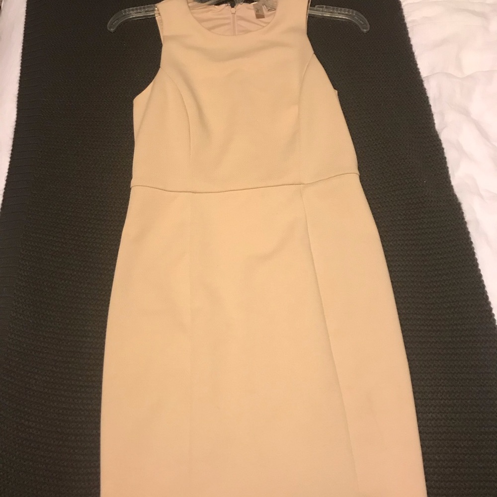 Pale Blush Dress